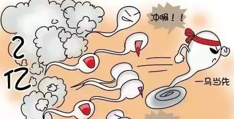 河北试管婴儿费用