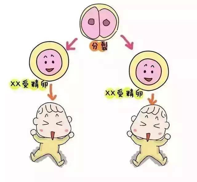 泰国第三代试管婴儿费用