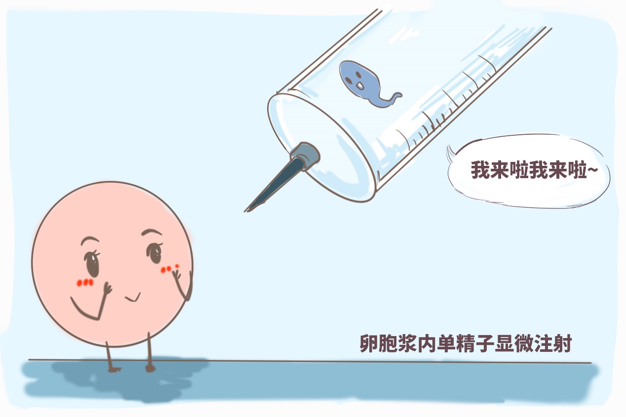 治疗性试管婴儿