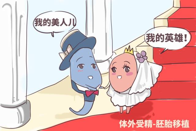 泰国试管婴儿