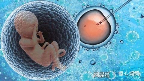 泰国三代试管婴儿