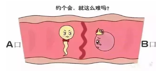 河北省二院试管婴儿