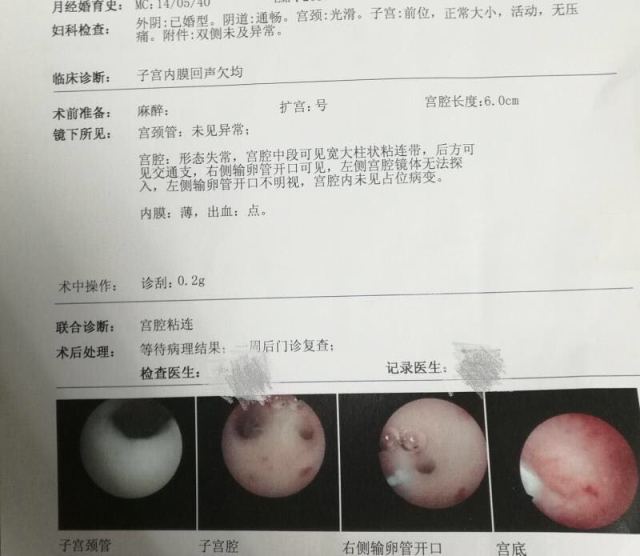 泉州助孕