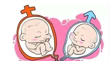 泰国试管婴儿
