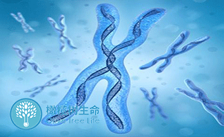 泰国试管婴儿