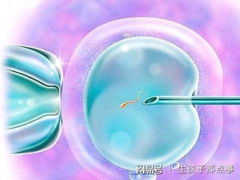培养专注力