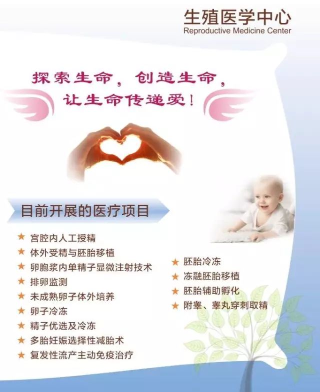 借卵试管婴儿
