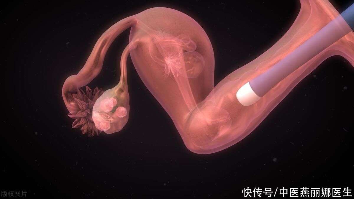 借卵生子价格