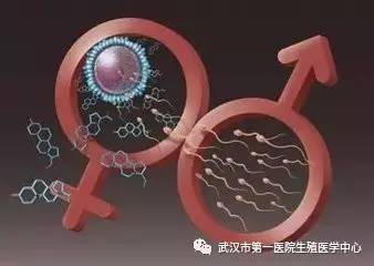 借卵试管婴儿