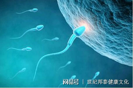 生殖医学