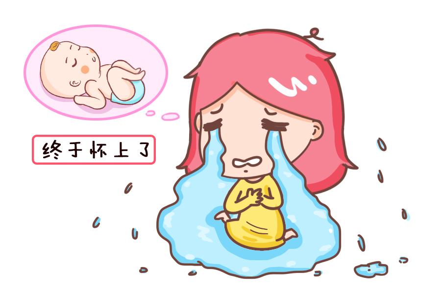 借卵试管婴儿