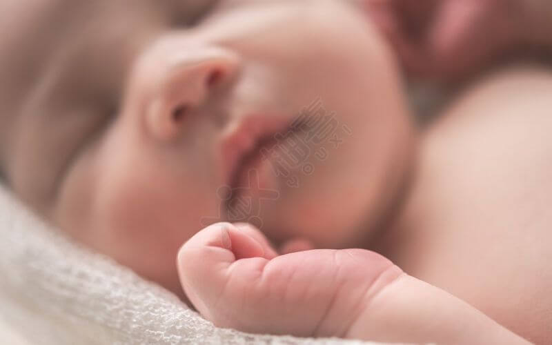 借卵试管婴儿