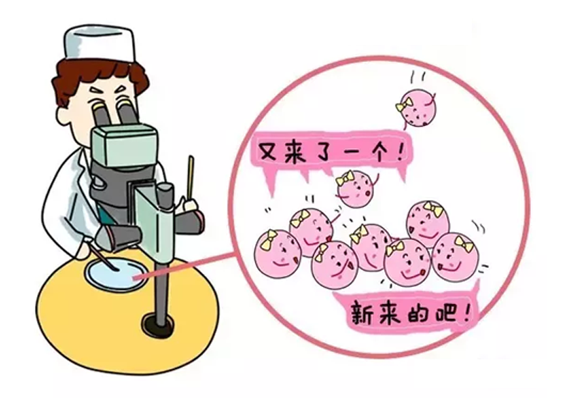 停经